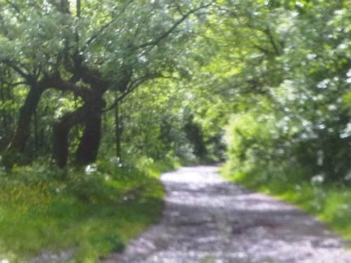 Отель The Hendrewen Treorchy Экстерьер фото