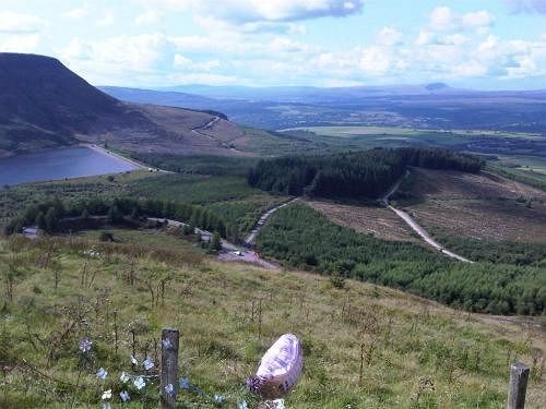 Отель The Hendrewen Treorchy Экстерьер фото